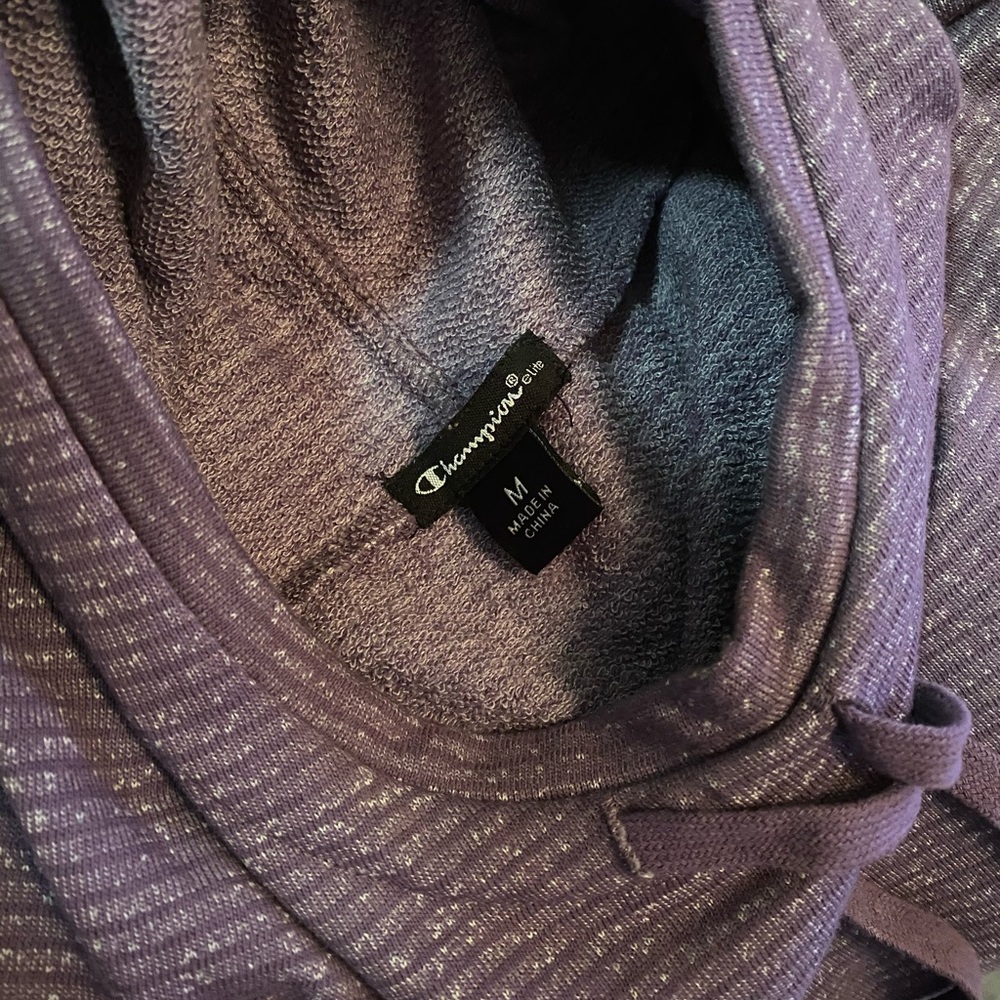 Champion sweater